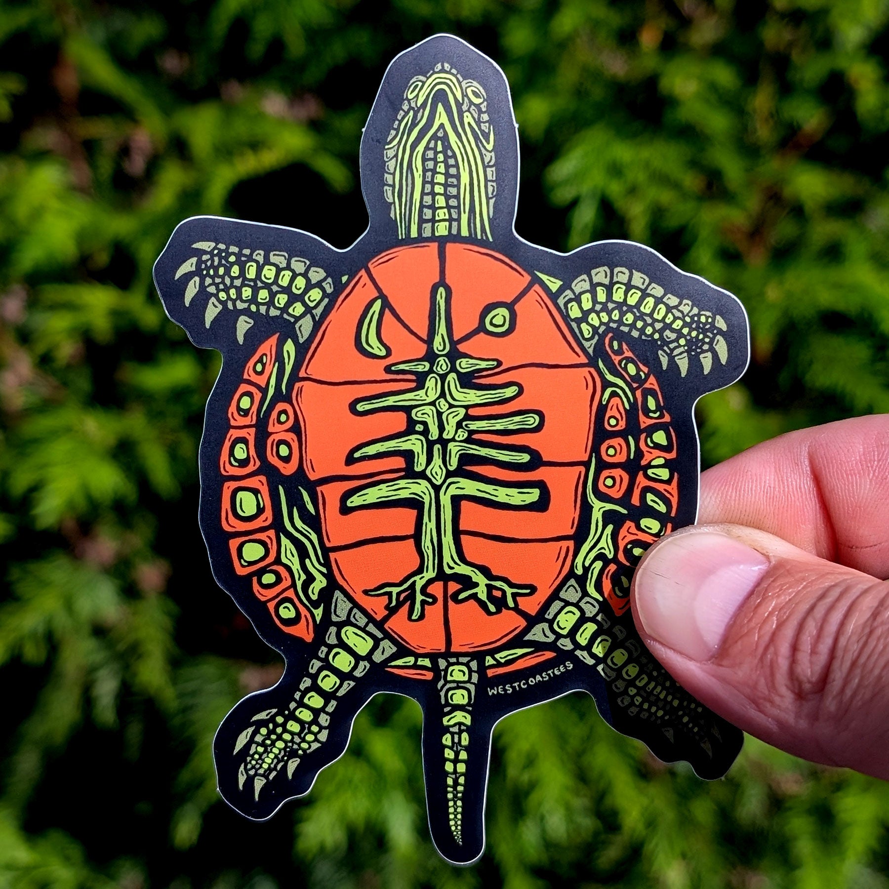 Westcoastees Painted Turtle Sticker