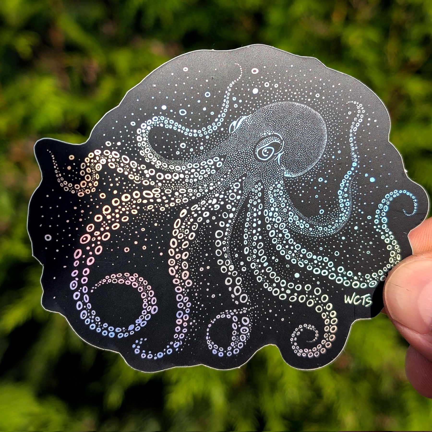 Westcoastees Star Octopus Sticker