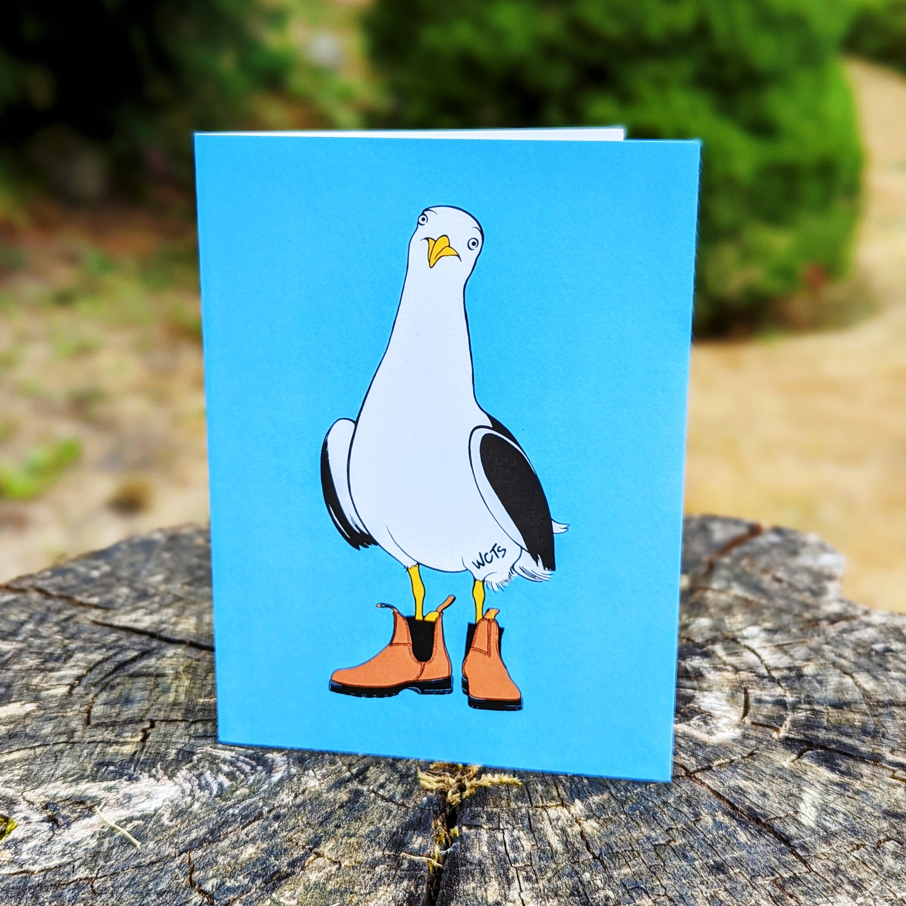 Westcoastees Seagull Art Card, ART CARD, Westcoastees, 