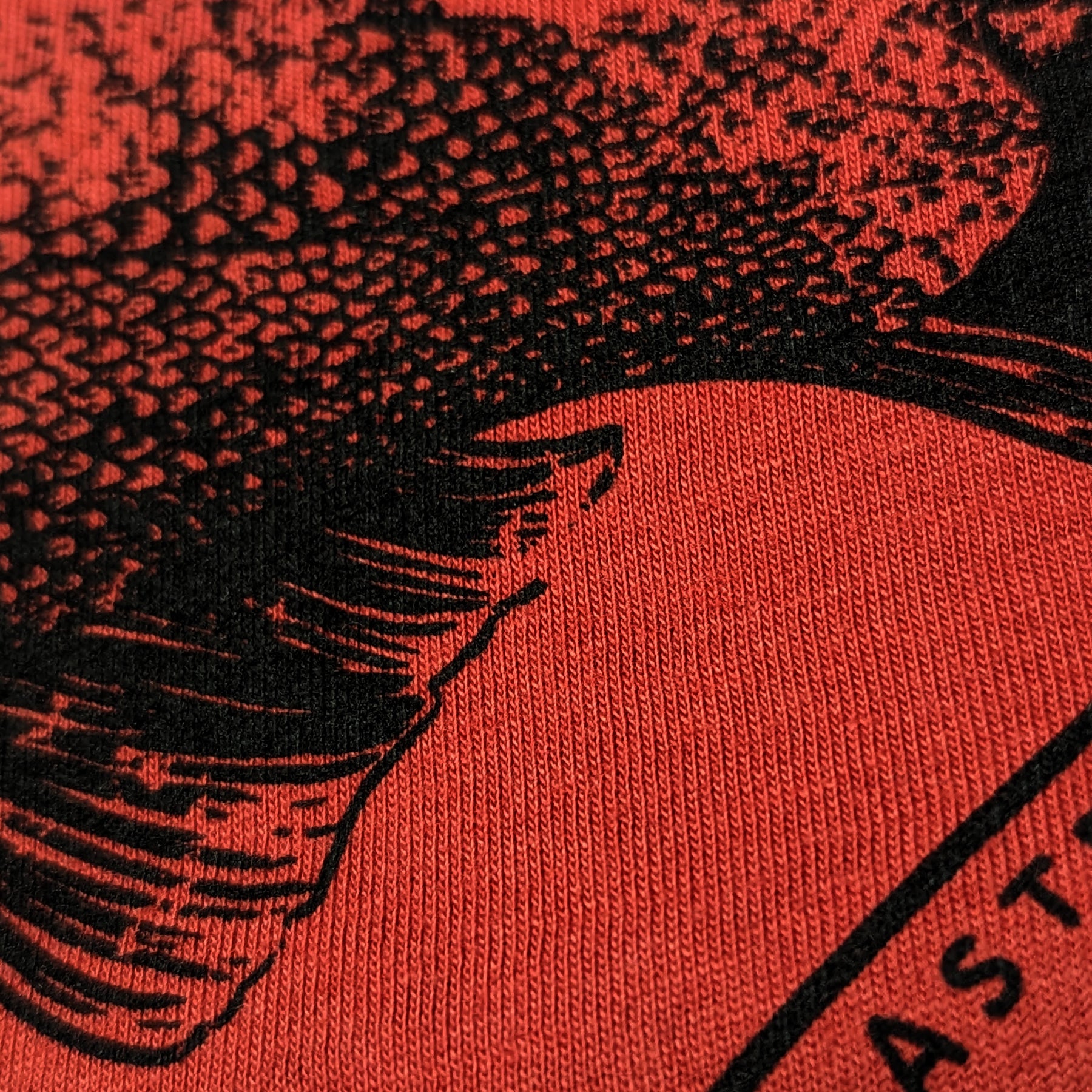 Adult Unisex Salmon Bow T-shirt, ADULT UNISEX TEE'S, Westcoastees, 